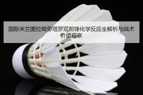 国际米兰图拉姆劳塔罗双前锋化学反应全解析与战术价值观察